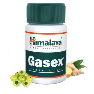 Himalaya HIMALAYA Gasex (100 tabl.)