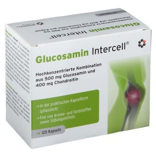 Intercell Pharma INTERCELL PHARMA Glucosamin Intercell (120 kaps.)
