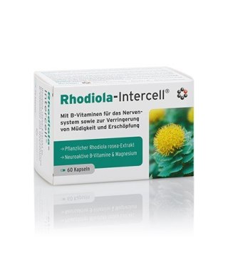 Intercell Pharma INTERCELL PHARMA Rhodiola-Intercell (60 kaps.)