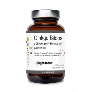Kenay KENAY Ginkgo Biloba z Ginkgoselect Phytosome (60 kaps.)