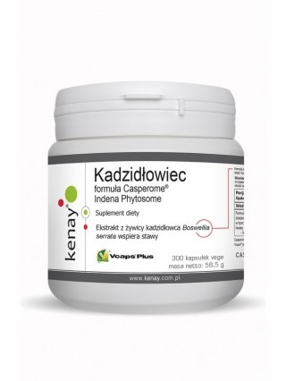 Kenay KENAY Kadzidłowiec Casperome Indena Phytosome (300 kaps.)