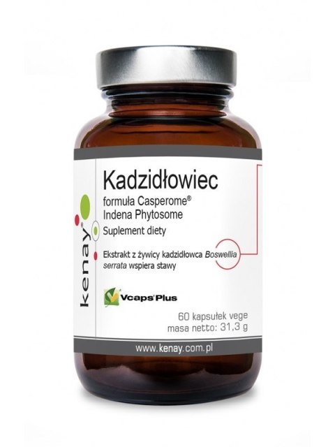 Kenay KENAY Kadzidłowiec Casperome Indena Phytosome - ekstrakt (60 kaps.)