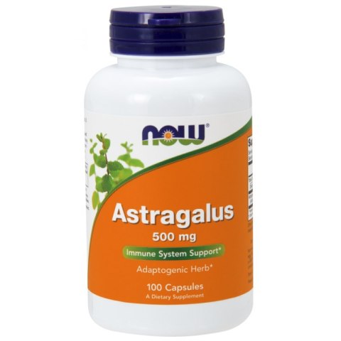 NOW Foods NOW FOODS Astragalus - Traganek 500 mg (100 kaps.)
