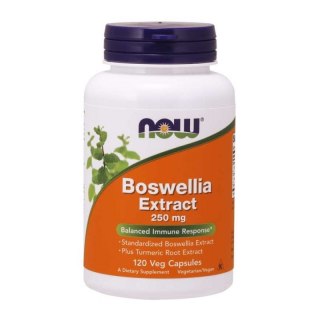 NOW Foods NOW FOODS Boswellia 250 mg ekstrakt z Kurkumą (120 kaps.)