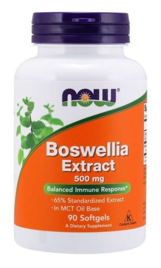 NOW Foods NOW FOODS Boswellia 500 mg ekstrakt (90 kaps.)