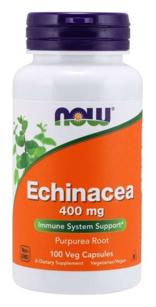 NOW Foods NOW FOODS Echinacea - Jeżówka Purpurowa (100 kaps.)