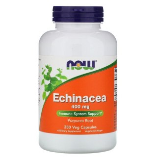 NOW Foods NOW FOODS Echinacea - Jeżówka Purpurowa (250 kaps.)