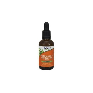 NOW Foods NOW FOODS Echinacea i Goldenseal Plus - Jeżówka Purpurowa i Gorzknik Kanadyjski (60 ml)