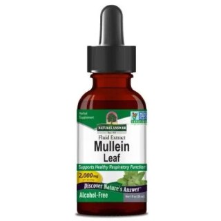 Nature's Answer NATURE'S ANSWER Mullein Leaf - Dziewanna (30 ml)