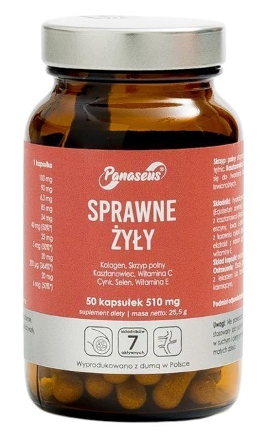 Panaseus PANASEUS Sprawne Żyły (50 kaps.)
