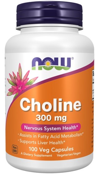 NOW Foods NOW FOODS Cholina 300 mg (100 kaps.)
