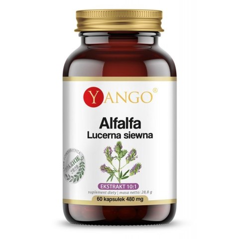 Yango YANGO Alfalfa - Lucerna siewna (60 kaps.)