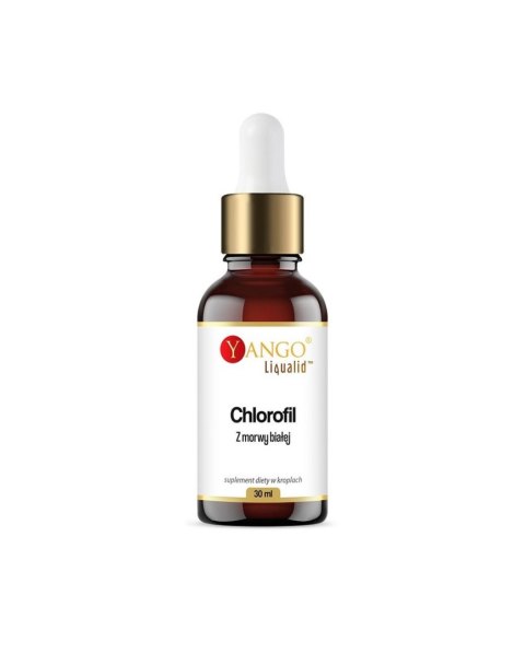 Yango YANGO Chlorofil z morwy białej w kroplach (30 ml)