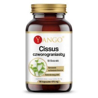 Yango YANGO Cissus Czworograniasty - ekstrakt 10:1 (90 kaps.)