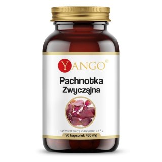 Yango YANGO Pachnotka zwyczajna (90 kaps.)